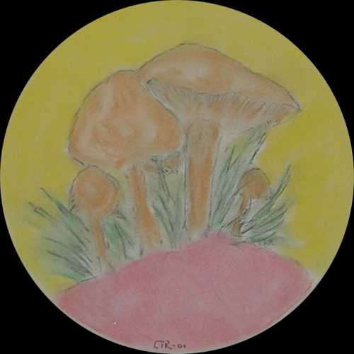 Shrooms (Pastel)